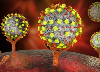 Descubren en China un nuevo virus capaz de transmitirse de animales a humanos