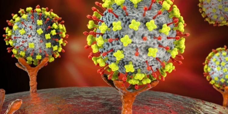 Descubren en China un nuevo virus capaz de transmitirse de animales a humanos