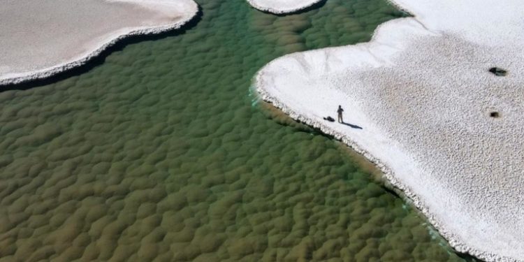 Descubren en las profundidades de un desierto argentino un ecosistema alienígena