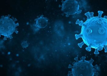 Descubren en murciélagos nuevas variantes de coronavirus con el potencial de infectar a los humanos