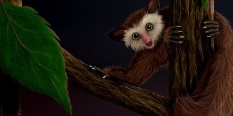 Descubren la procedencia del último primate que habitó América del Norte antes que los humanos