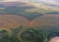 Descubren las fortalezas más antiguas del mundo en una remota región de Siberia
