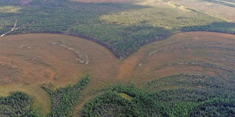 Descubren las fortalezas más antiguas del mundo en una remota región de Siberia