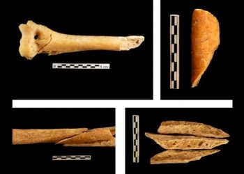 Descubren nuevas prácticas funerarias del Neolítico en España