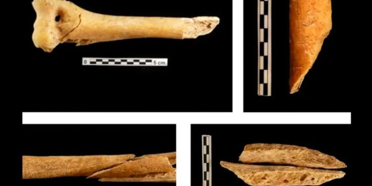 Descubren nuevas prácticas funerarias del Neolítico en España