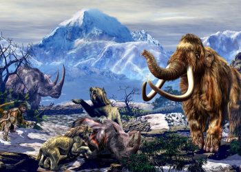 Descubren que el hombre sería la causa principal de la extinción de la megafauna