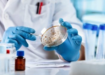 Descubren qué podrí­a causar la hepatitis infantil aguda, registrada en 35 paí­ses