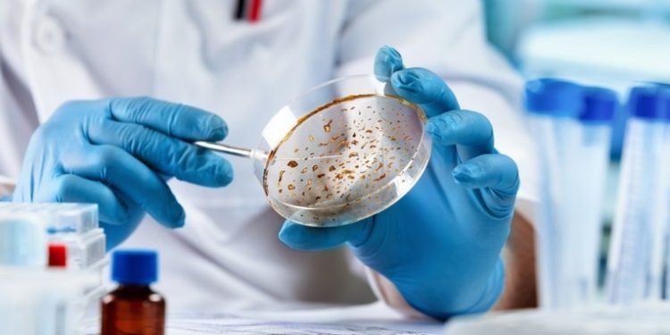 Descubren qué podrí­a causar la hepatitis infantil aguda, registrada en 35 paí­ses