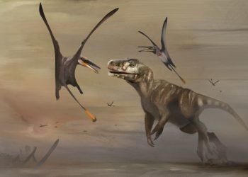 Descubren una nueva especie de pterosaurio jurásico de hace 170 millones de años