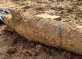 Desentierran una bomba aérea de la Segunda Guerra Mundial en un sitio de construcción en Singapur