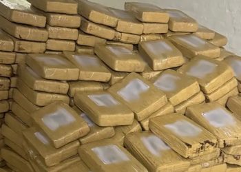 Desmantelan red de narcotráfico en Italia, España y Alemania