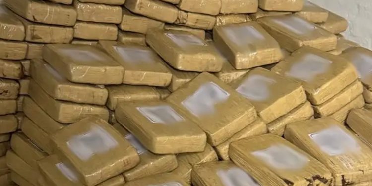 Desmantelan red de narcotráfico en Italia, España y Alemania