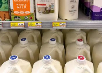 Detectado el primer caso grave de gripe aviar en EE. UU