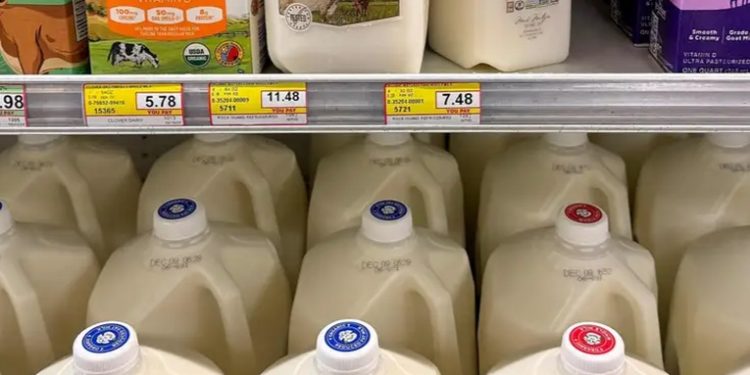 Detectado el primer caso grave de gripe aviar en EE. UU