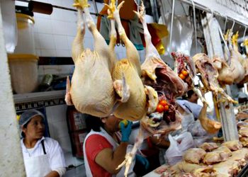 Detectan alza en el precio del pollo