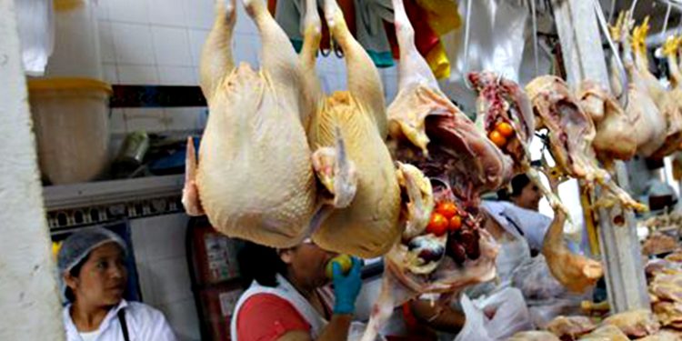 Detectan alza en el precio del pollo