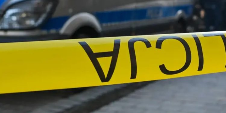 Detienen a hombre por presunto plan para matar a Zelenski