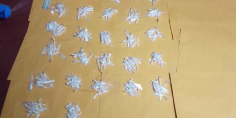 Detienen a presunto narcomenudistra en posesión de cocaína y fuerte cantidad de efectivo