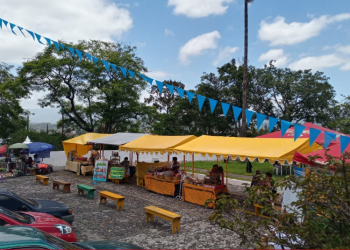 Diez ventas fueron colocadas para celebrar la Feria del Cerrito del Carmen