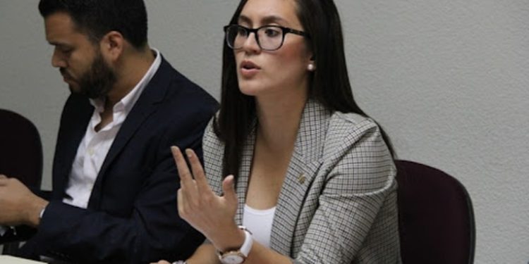 Diputada critica actuar de los parlamentarios