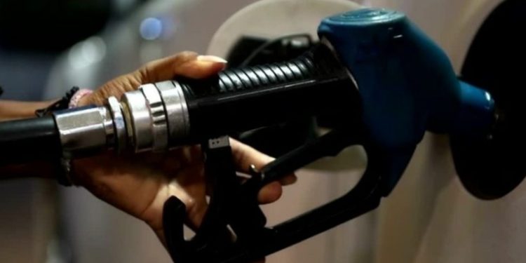 Diputados de bancada Semilla no apoyarán la prórroga del subsidio