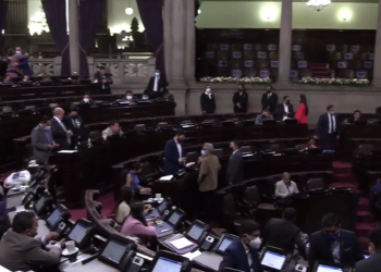 Diputados piden vetar la ley Por la Vida y la familia