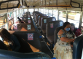 Dirección General de Transporte busca seguridad en los usuarios de los buses