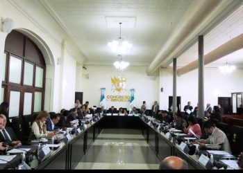 Discusión en la junta directiva sobre la participación de SEMILLA: diputadas con voz pero sin voto
