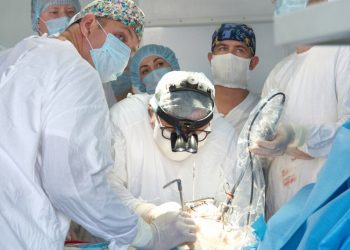 Diseñan innovadora técnica que permite trasplantar riñones sin sufrir efectos adversos de los inmunosupresores