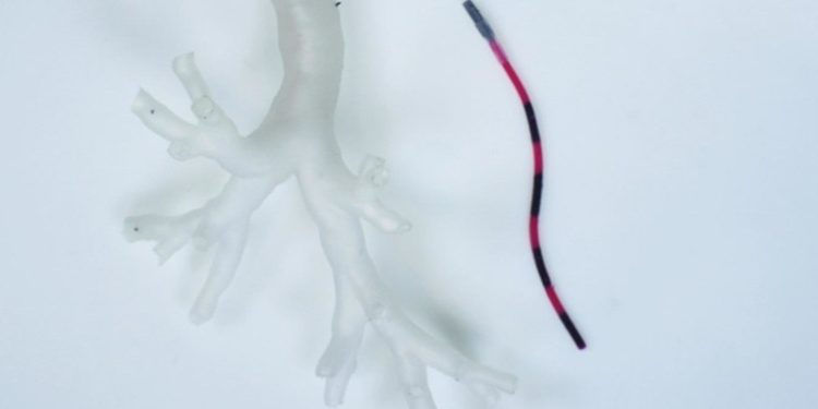 Diseñan un 'robot-serpiente' que se desliza por los pulmones para tratar el cáncer