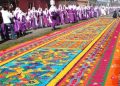 Disminuye la demanda de aserrín para la elaboración de alfombras