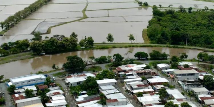 Ecuador amplía a ocho provincias la emergencia por lluvias