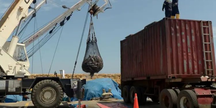 Ecuador impondrá arancel de 27% a importaciones desde México