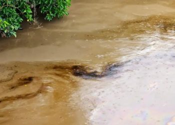 Ecuador indaga posible