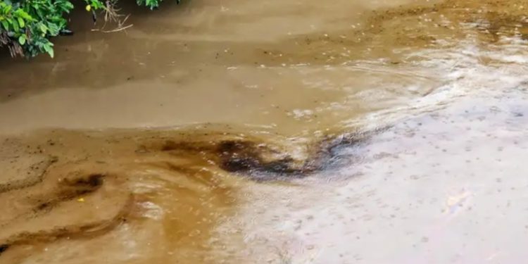 Ecuador indaga posible