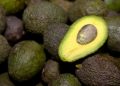 EE.UU. anuncia que reanudará la importación de aguacates desde México