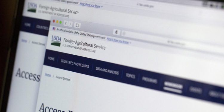 EE.UU. borra de Internet datos sobre su presencia en Afganistán