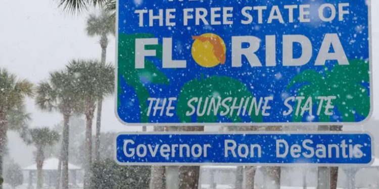 EE.UU.: ciudad de Florida rompe récord histórico de nieve