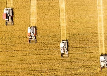 EE.UU. considera una amenaza para su seguridad que China quiera potenciar su sector agrí­cola