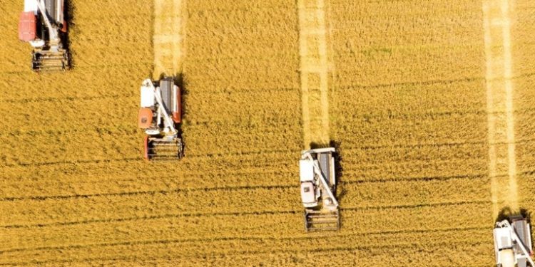 EE.UU. considera una amenaza para su seguridad que China quiera potenciar su sector agrícola