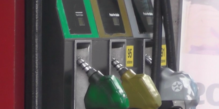 Efectos de la invasión rusa a Ucrania afectarán a Guatemala