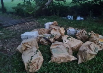 Ejército informa la detección de posibles narcóticos en Livingston, Izabal