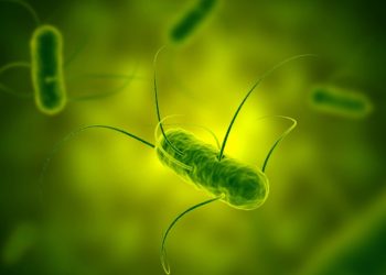 El antepasado común de todos los seres vivos podría haber existido antes de lo que se creía