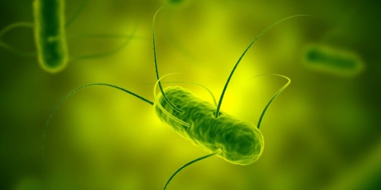 El antepasado común de todos los seres vivos podría haber existido antes de lo que se creía