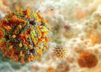 El brote de fiebre amarilla en un país suramericano que pone en alerta a toda la región