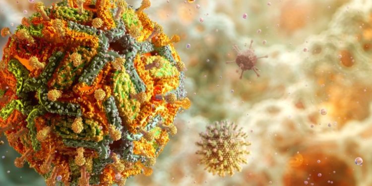 El brote de fiebre amarilla en un país suramericano que pone en alerta a toda la región