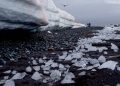 El clima se está calentando: revelan que más del 40 % de las plataformas de hielo de la Antártida se redujeron