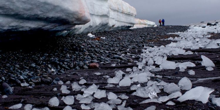 El clima se está calentando: revelan que más del 40 % de las plataformas de hielo de la Antártida se redujeron