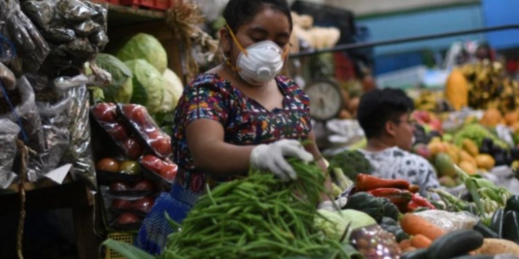 El FMI proyecta que Guatemala retomará tendencia de crecimiento previa a la pandemia en 2022