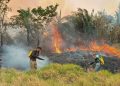 El Gobierno de Bolivia moviliza más de 4.800 bomberos para combatir incendios forestales